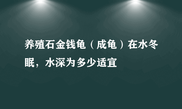 养殖石金钱龟（成龟）在水冬眠，水深为多少适宜