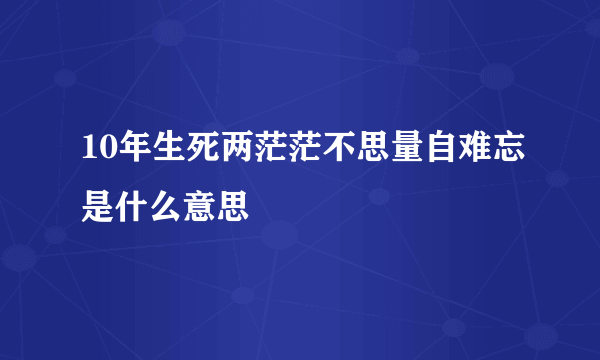 10年生死两茫茫不思量自难忘是什么意思