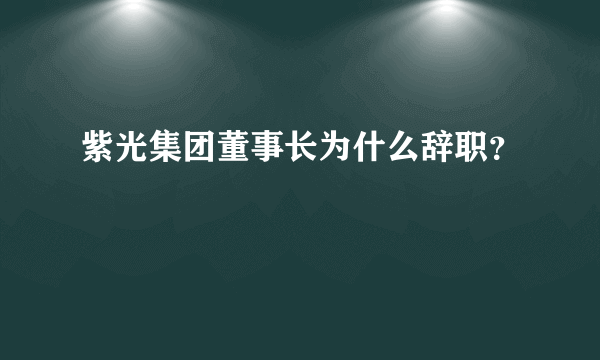 紫光集团董事长为什么辞职？