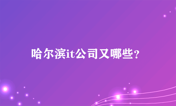 哈尔滨it公司又哪些？