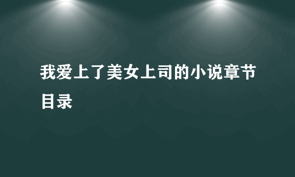 我爱上了美女上司的小说章节目录