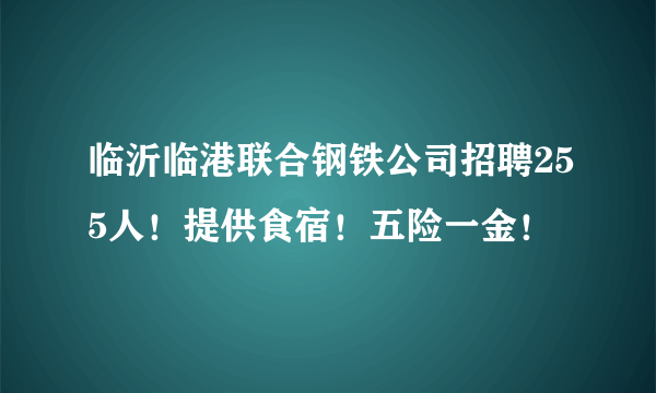 临沂临港联合钢铁公司招聘255人！提供食宿！五险一金！