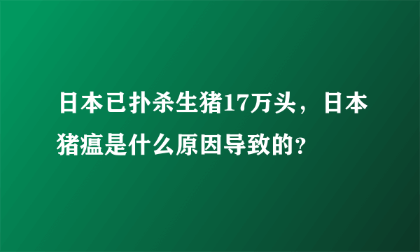 日本已扑杀生猪17万头，日本猪瘟是什么原因导致的？