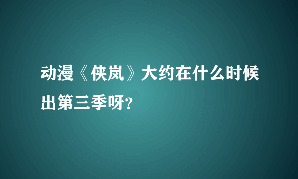 动漫《侠岚》大约在什么时候出第三季呀？