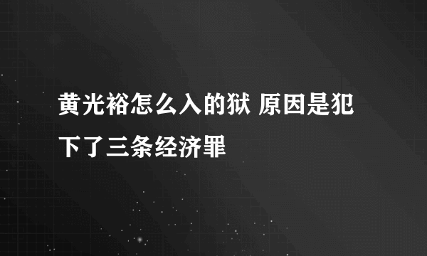 黄光裕怎么入的狱 原因是犯下了三条经济罪