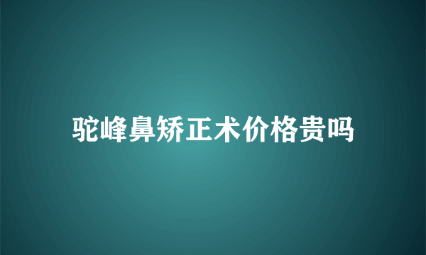 驼峰鼻矫正术价格贵吗