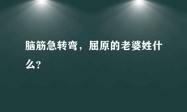 脑筋急转弯，屈原的老婆姓什么？