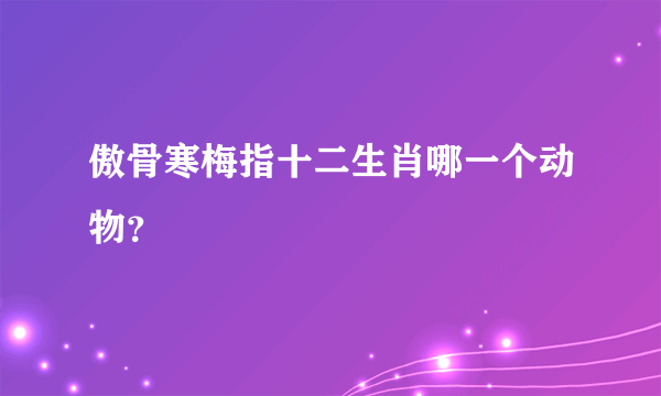 傲骨寒梅指十二生肖哪一个动物？