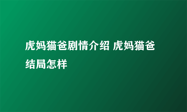 虎妈猫爸剧情介绍 虎妈猫爸结局怎样