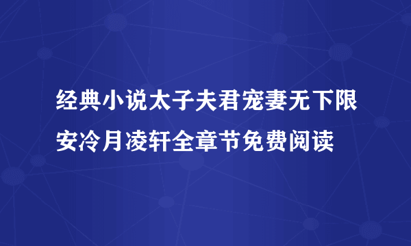 经典小说太子夫君宠妻无下限安冷月凌轩全章节免费阅读