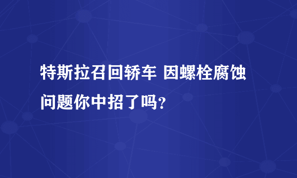 特斯拉召回轿车 因螺栓腐蚀问题你中招了吗？