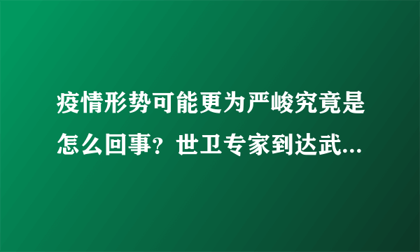 疫情形势可能更为严峻究竟是怎么回事？世卫专家到达武汉开展病毒溯源