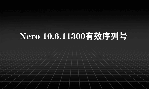 Nero 10.6.11300有效序列号