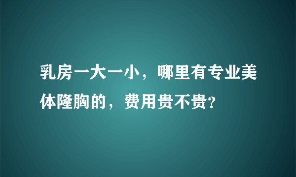 乳房一大一小，哪里有专业美体隆胸的，费用贵不贵？