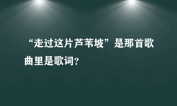 “走过这片芦苇坡”是那首歌曲里是歌词？