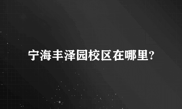 宁海丰泽园校区在哪里?