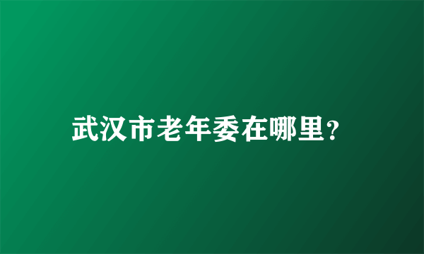 武汉市老年委在哪里？