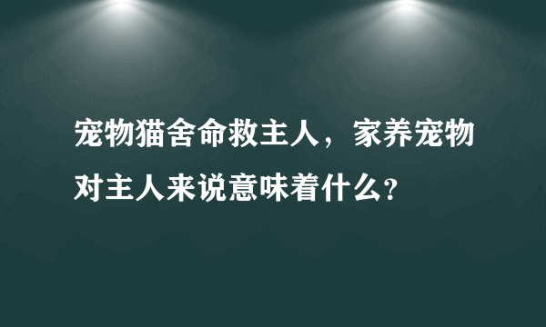 宠物猫舍命救主人，家养宠物对主人来说意味着什么？