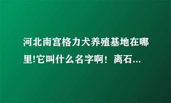 河北南宫格力犬养殖基地在哪里!它叫什么名字啊！离石家庄多远啊！