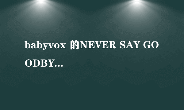 babyvox 的NEVER SAY GOODBYE的歌词有谁知道啊