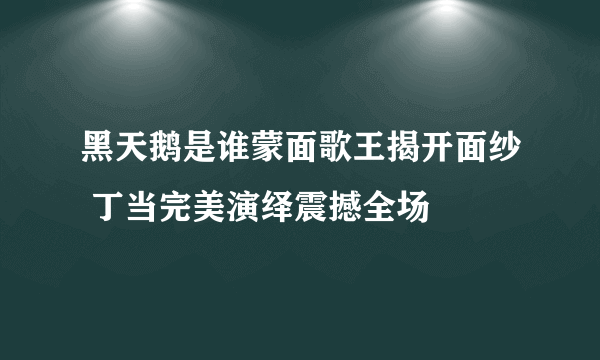 黑天鹅是谁蒙面歌王揭开面纱 丁当完美演绎震撼全场