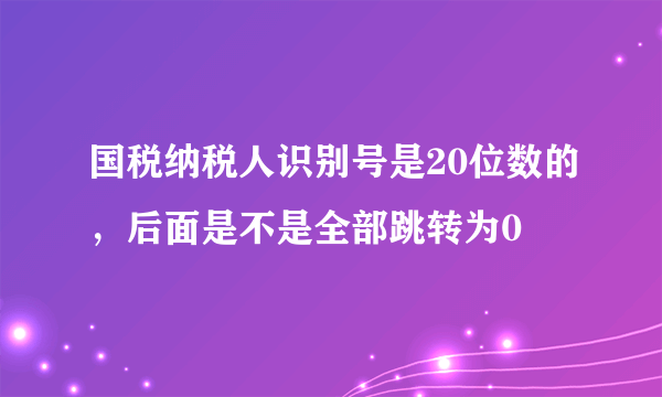 国税纳税人识别号是20位数的，后面是不是全部跳转为0