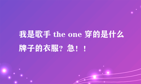 我是歌手 the one 穿的是什么牌子的衣服？急！！