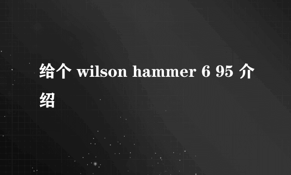 给个 wilson hammer 6 95 介绍