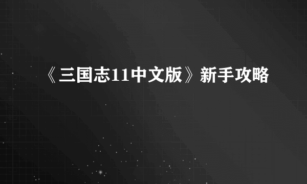 《三国志11中文版》新手攻略