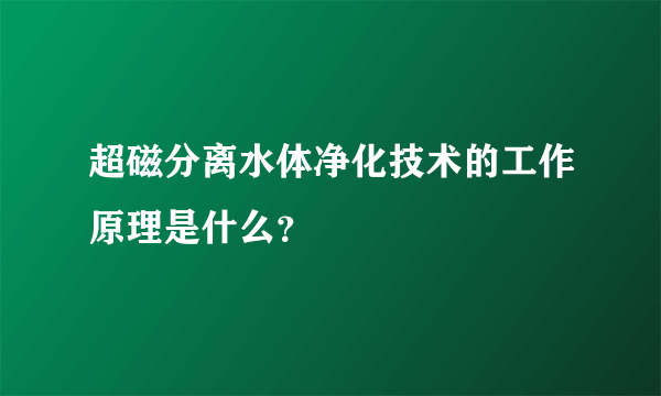 超磁分离水体净化技术的工作原理是什么？