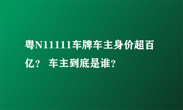 粤N11111车牌车主身价超百亿？ 车主到底是谁？