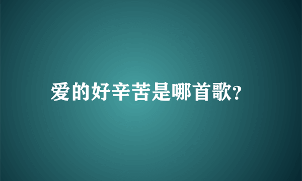 爱的好辛苦是哪首歌？