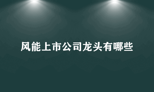 风能上市公司龙头有哪些