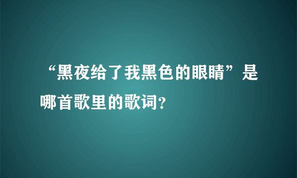 “黑夜给了我黑色的眼睛”是哪首歌里的歌词？