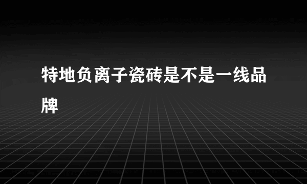 特地负离子瓷砖是不是一线品牌