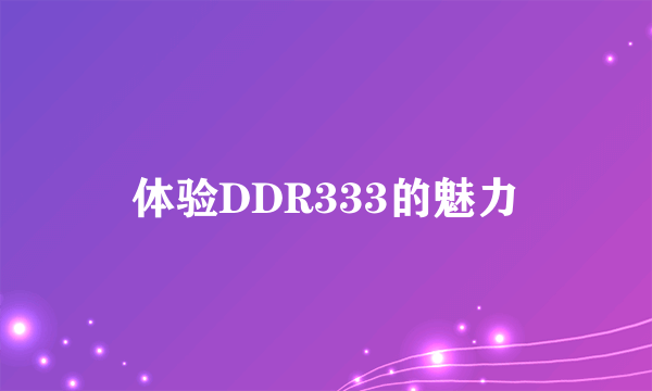 体验DDR333的魅力