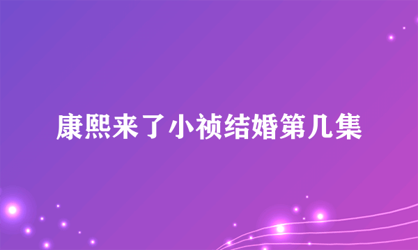 康熙来了小祯结婚第几集