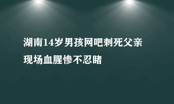 湖南14岁男孩网吧刺死父亲 现场血腥惨不忍睹