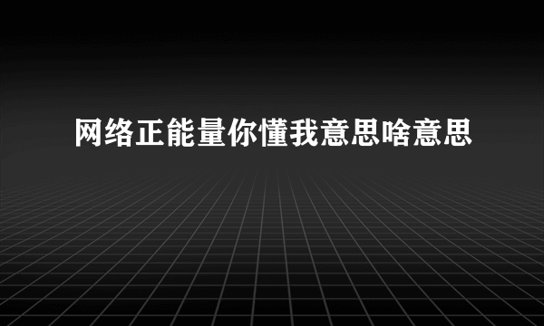 网络正能量你懂我意思啥意思