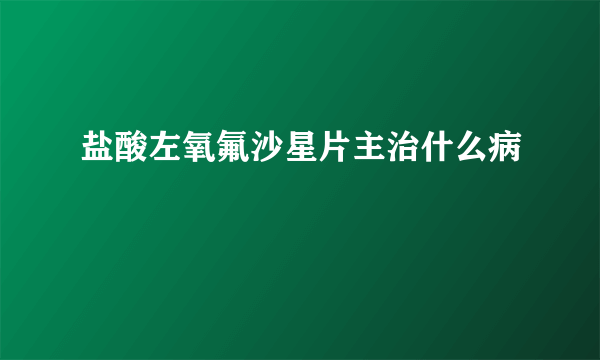 盐酸左氧氟沙星片主治什么病