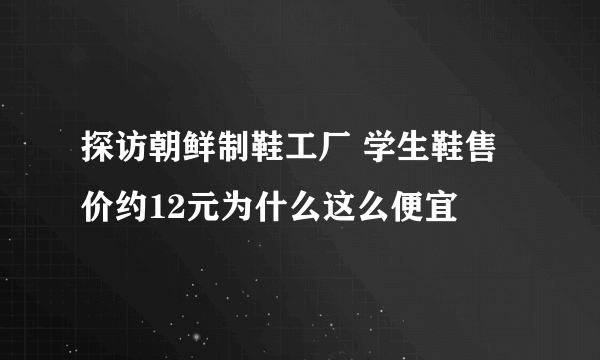 探访朝鲜制鞋工厂 学生鞋售价约12元为什么这么便宜