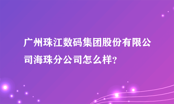 广州珠江数码集团股份有限公司海珠分公司怎么样？