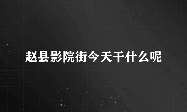 赵县影院街今天干什么呢