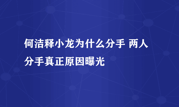 何洁释小龙为什么分手 两人分手真正原因曝光