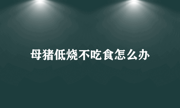 母猪低烧不吃食怎么办