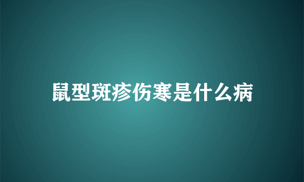 鼠型斑疹伤寒是什么病