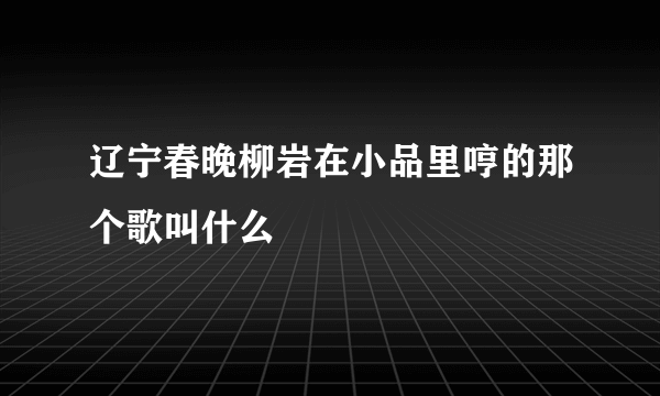 辽宁春晚柳岩在小品里哼的那个歌叫什么