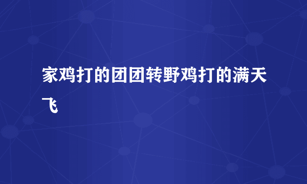 家鸡打的团团转野鸡打的满天飞