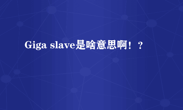 Giga slave是啥意思啊！？