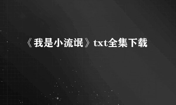 《我是小流氓》txt全集下载